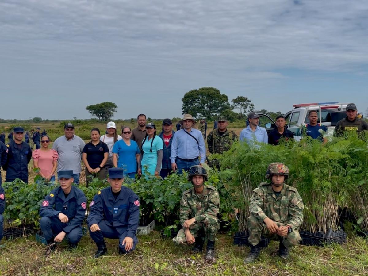 Árboles sembrados en zona libre de minas en Meta