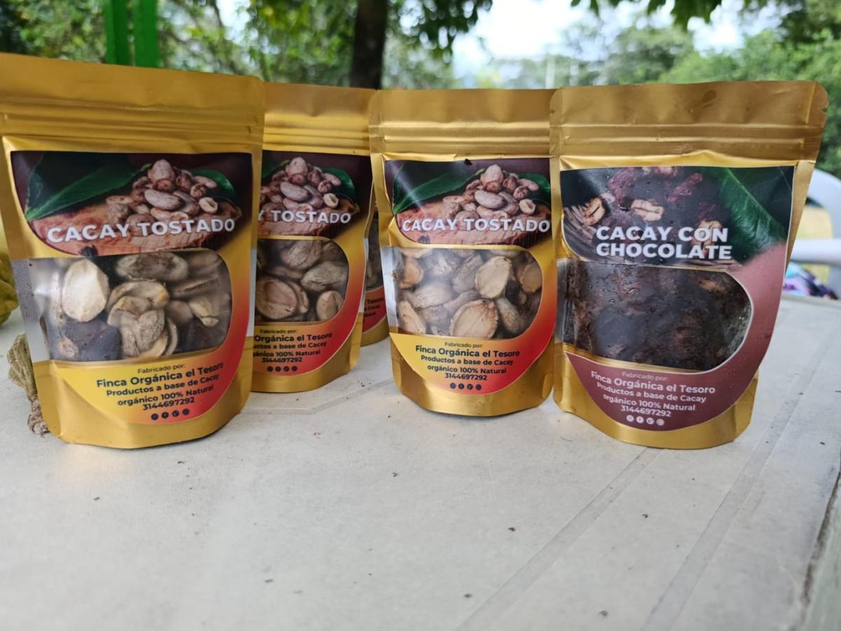 Campesinos de Lejanías, Meta, impulsan la producción orgánica de nuez de cacay