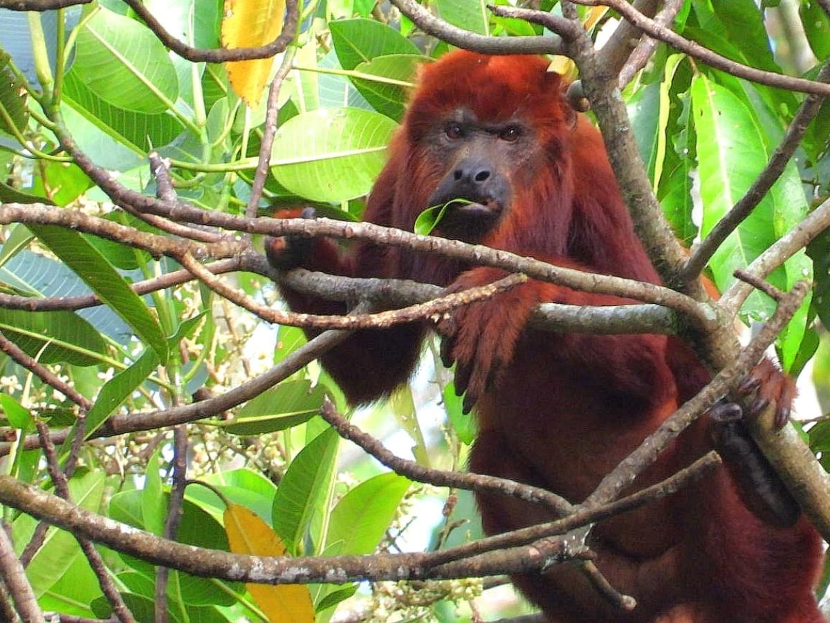 Libro “Memorias que Cultivan Esperanza” nació en la vereda Alto Guapaya, Meta