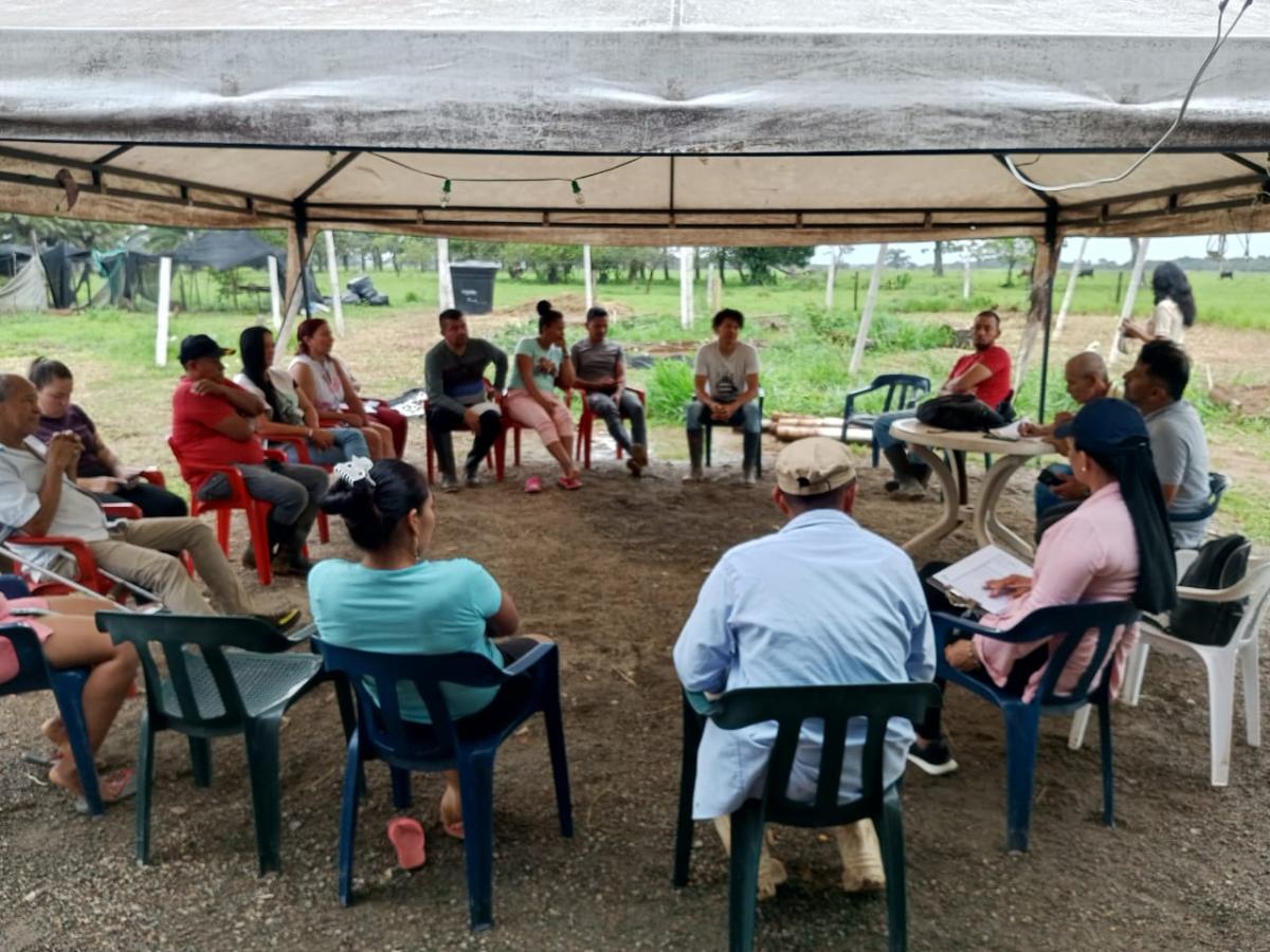Firmantes de Meta protección del ambiente