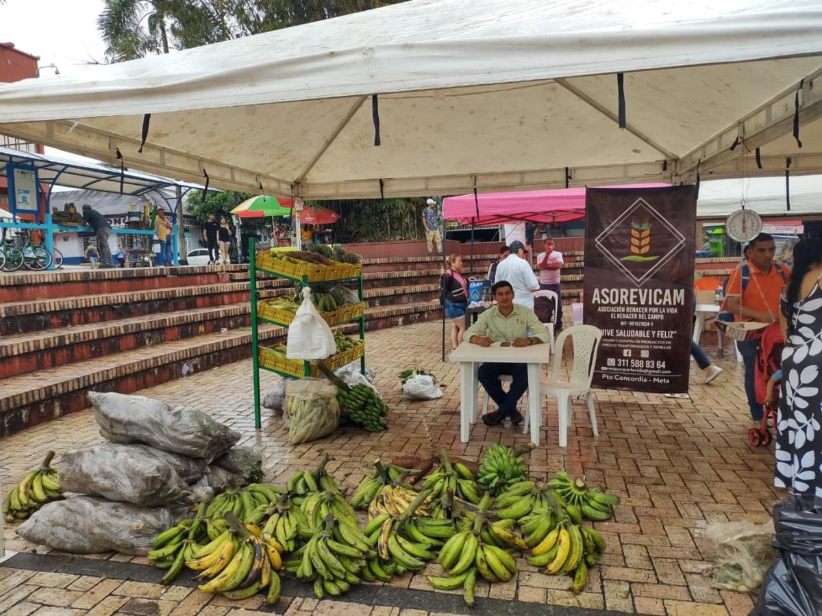 Asociaciones campesinas en el sur del Meta: una opción incluyente para los campesinos del territorio 