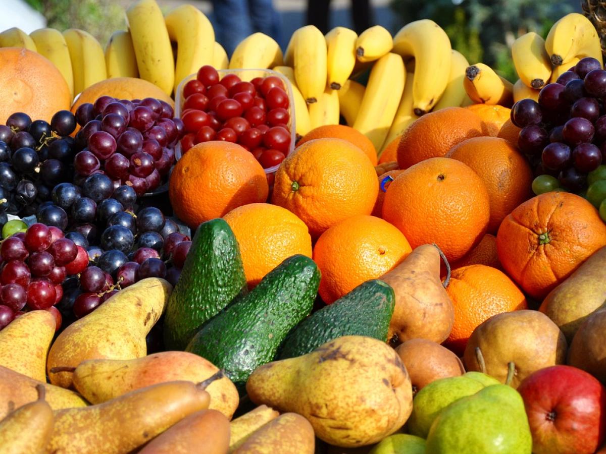 Abecé de ley hambre cero y banco de alimentos