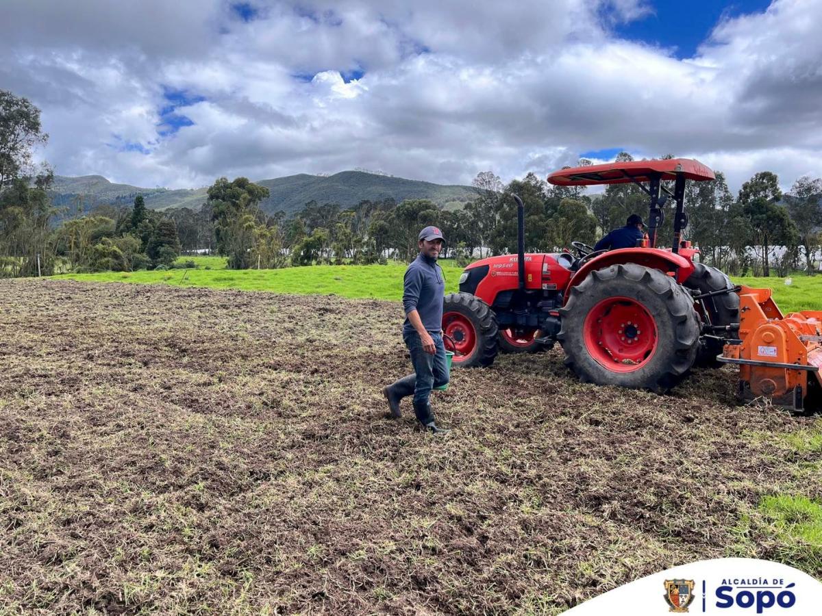 ¡Histórico! El desempleo en Colombia baja al 7 % en noviembre: la cifra más baja jamás registrada