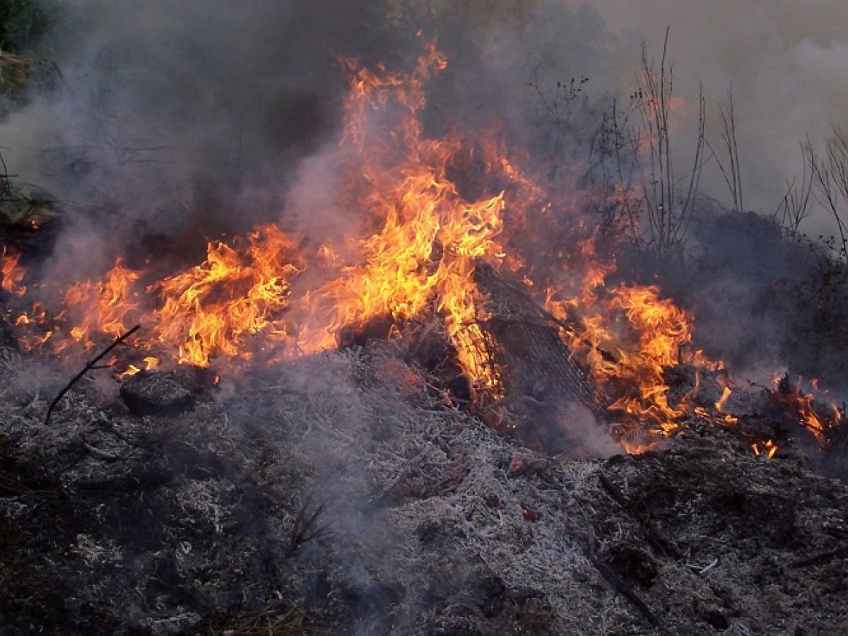 Alertas por deslizamientos de tierras e incendios forestales: 549 advertencias en Colombia