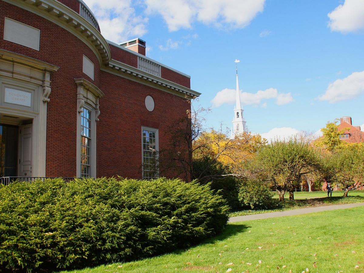Harvard 