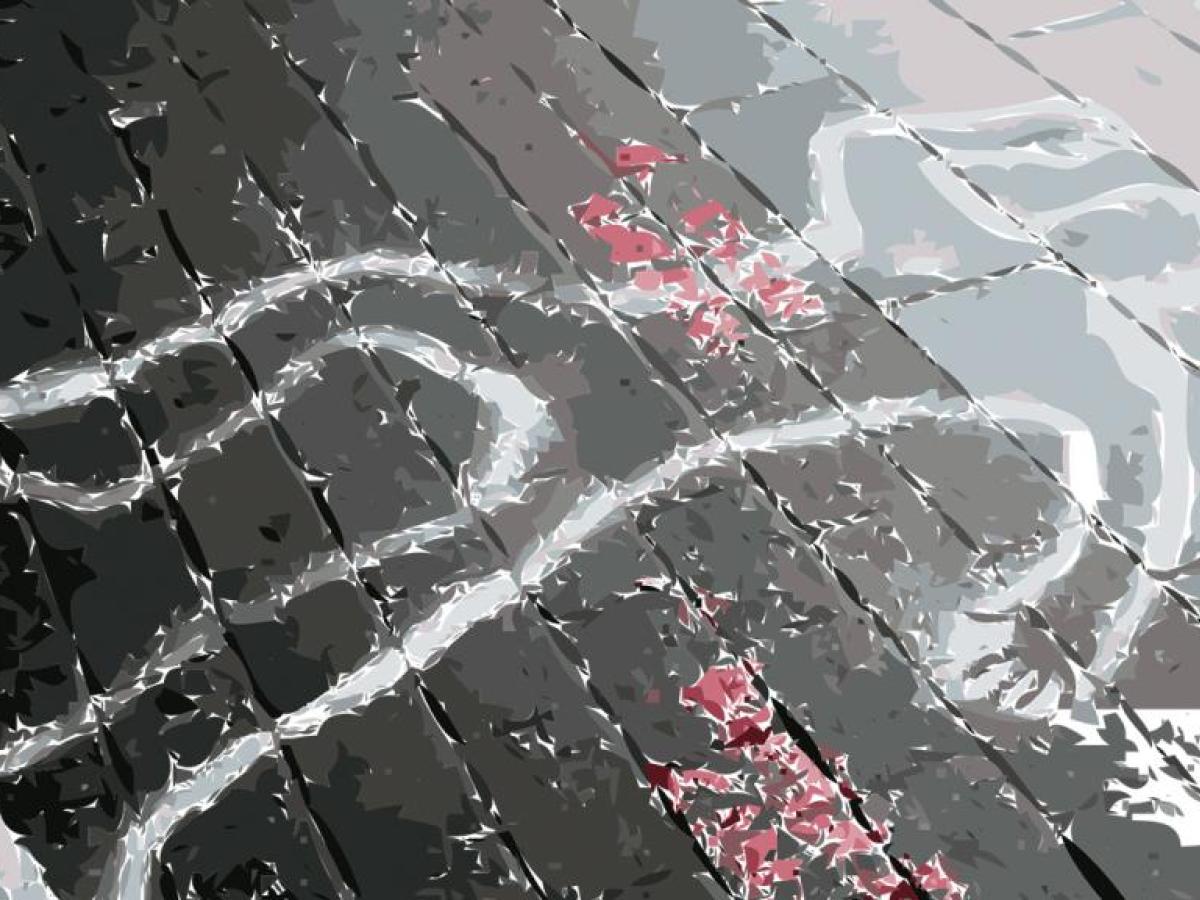 Recompensa de 20 millones de pesos para esclarecer homicidios en Montenegro, Quindío