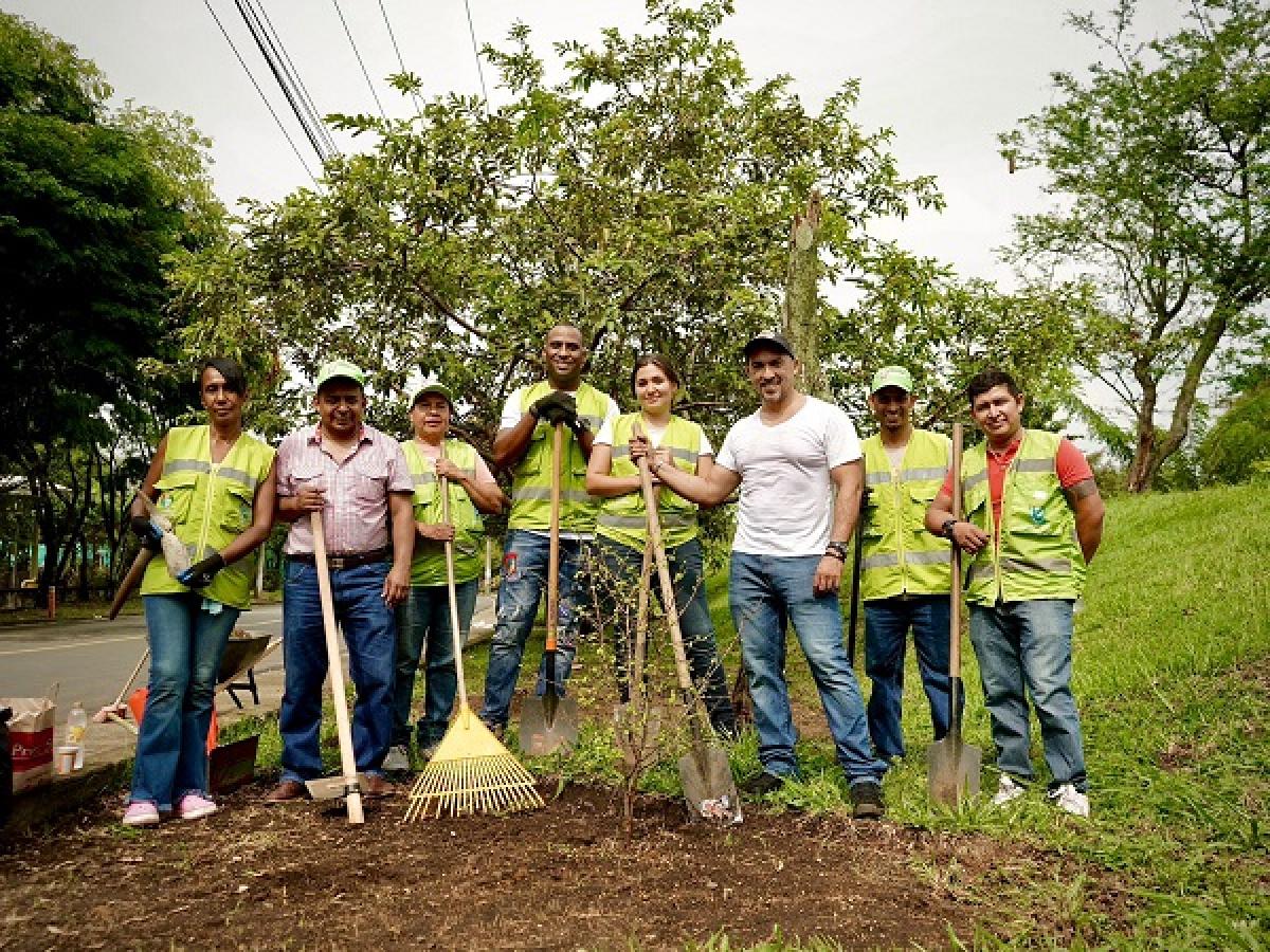 Hotel de Insectos en el Valle del Cauca: Promoviendo la conservación y la biodiversidad