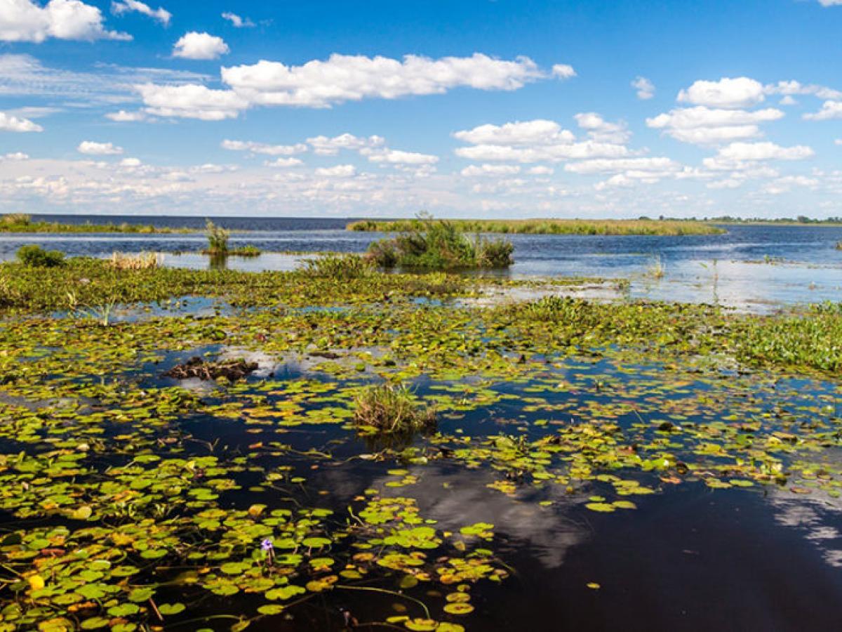 Humedales al UNPRG: Aprobado proyecto en el Senado