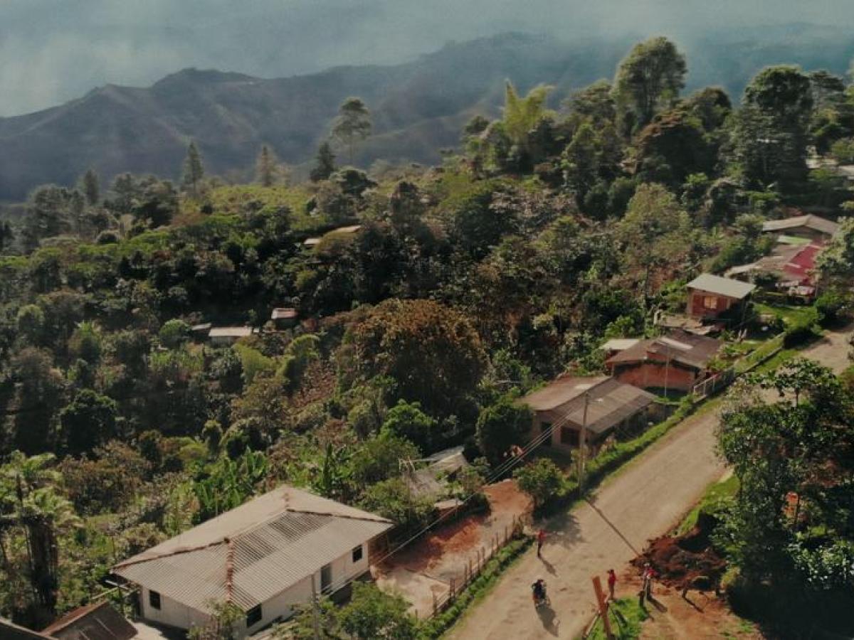 Violencia territorial en Colombia en 2023: Muerte de líderes, masacres y reclutamiento Violencia territorial en Colombia en 2023: Muerte de líderes, masacres y reclutamiento