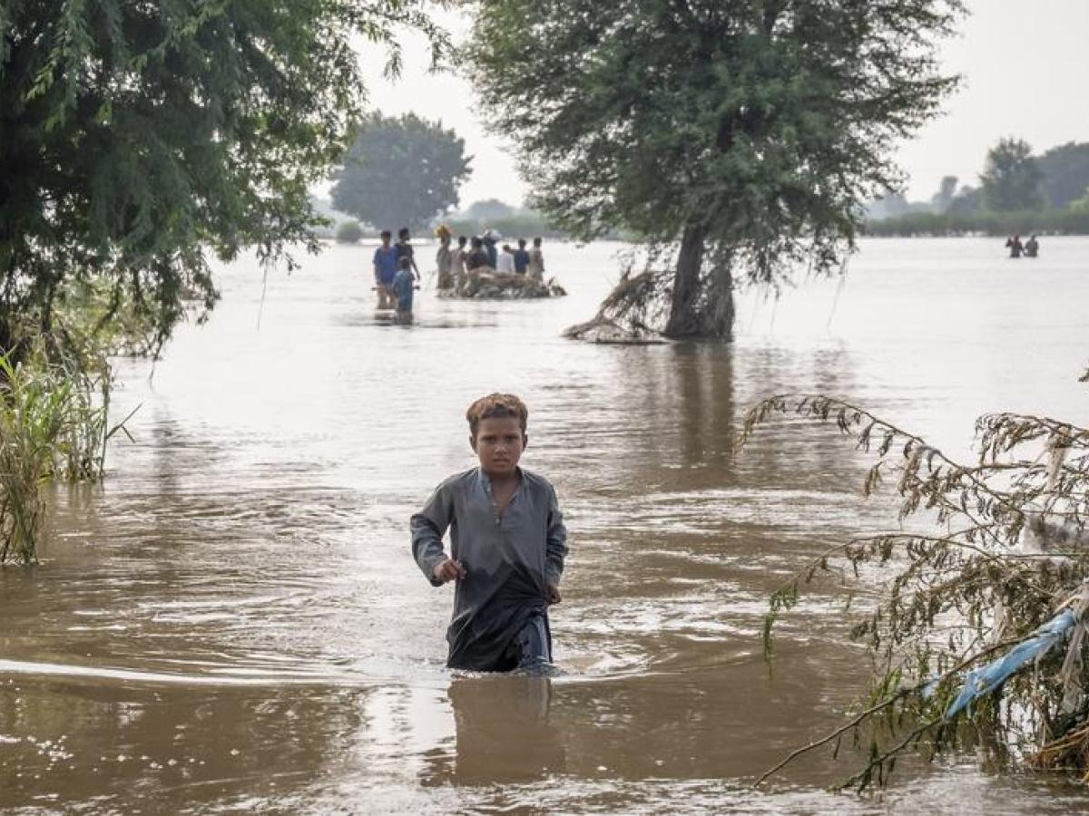 Día Mundial del Control de la Calidad del Agua: crisis hídrica amenaza a 3.600 millones de personas
