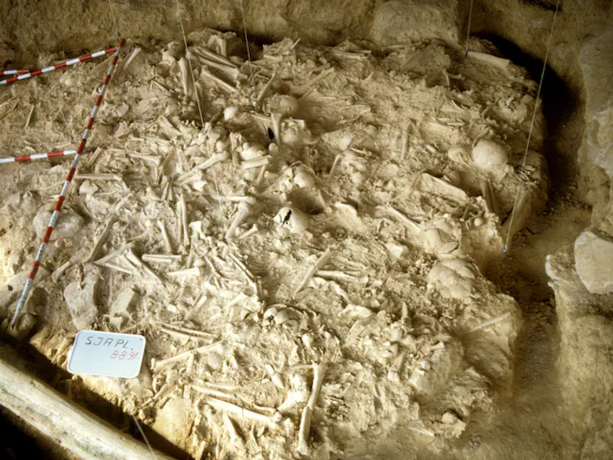 Investigación prueba que la guerra en Europa tiene más de 5 mil años