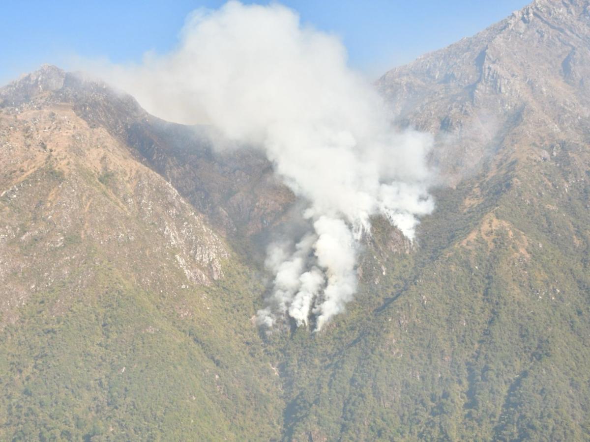 172 hectáreas afectadas por incendios en la Sierra Nevada de Santa Marta