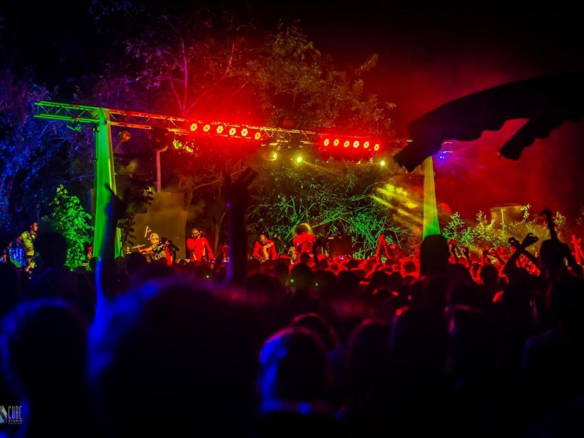 Festival Jaguar 2024: programación y fechas 