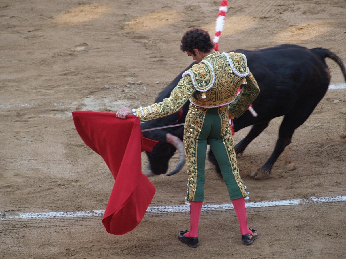 Corridas de toros en Colombia 2024: regulación