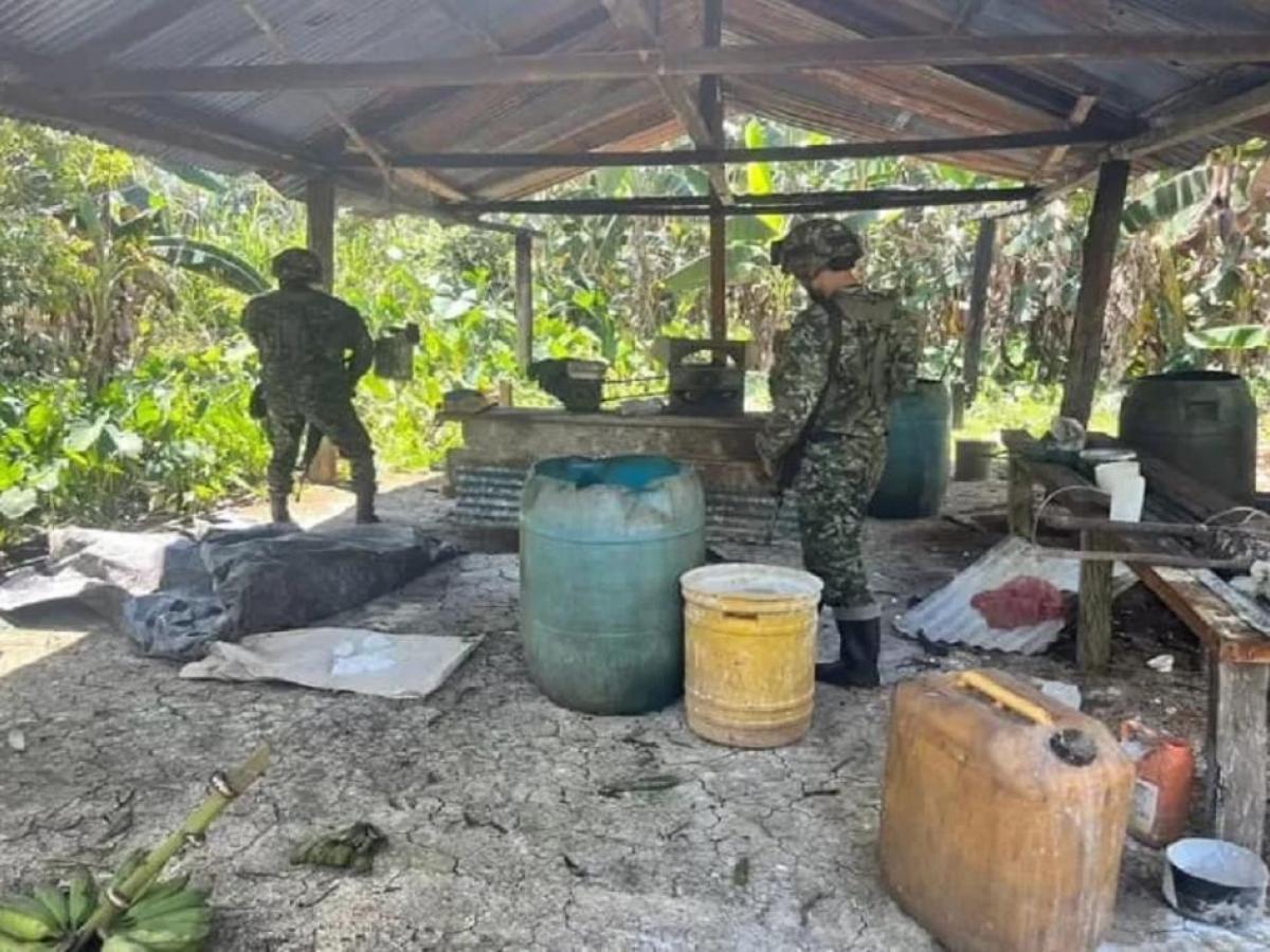 Desmantelan laboratorio de hoja de coca en Guaviare