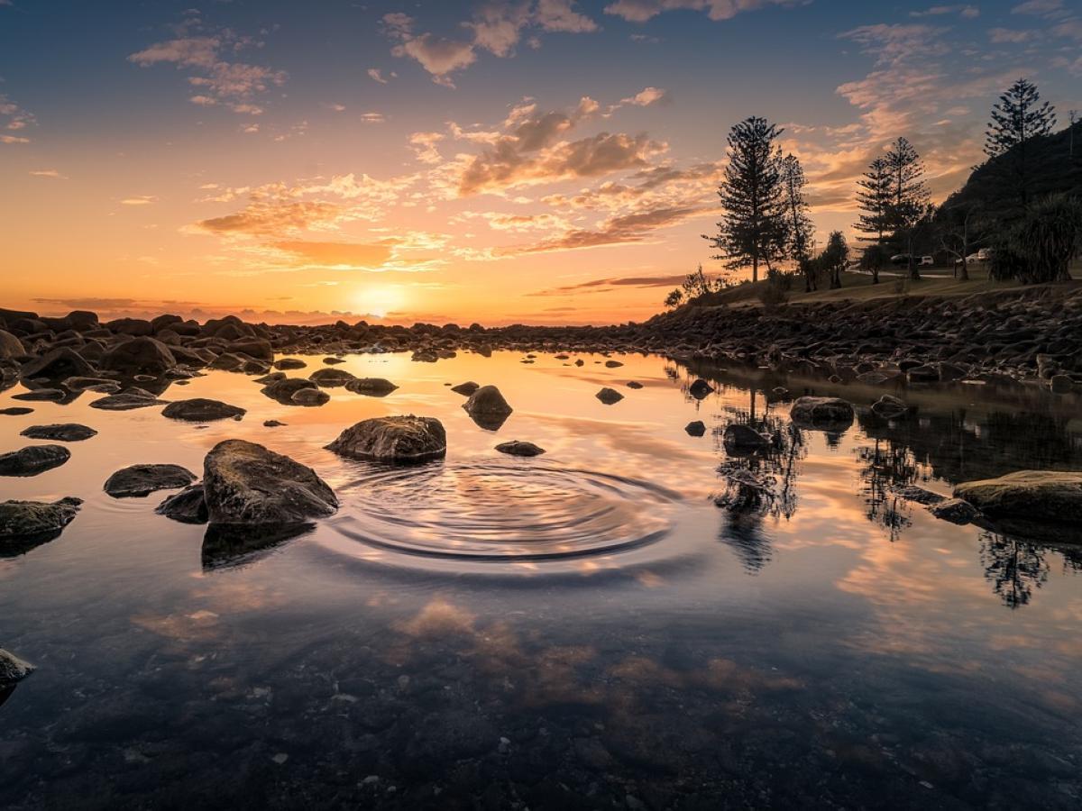 Día Mundial del Medio Ambiente: tips para cuidar el planeta