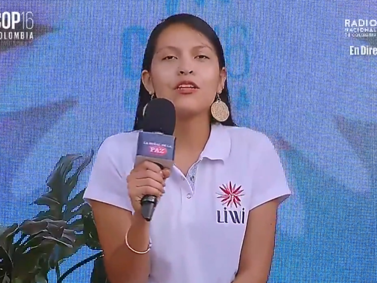 Laura Gabriela Carianil, vocera de la empresa LIWI.