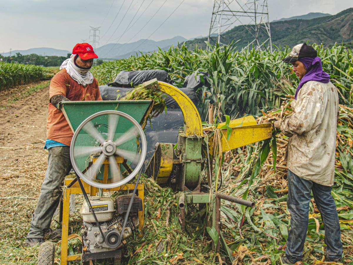 Línea Especial de Crédito para campesinos Banco Agrario 