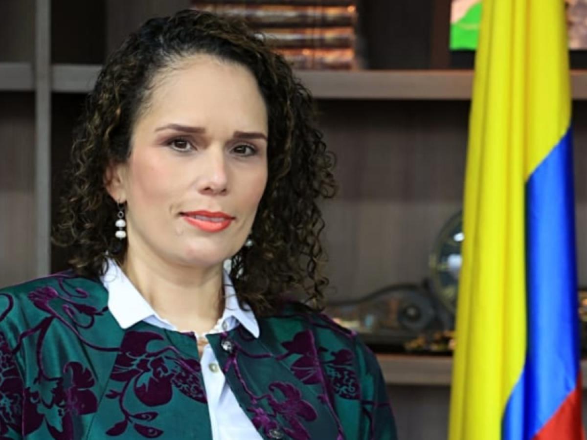 Nueva ministra de Transporte será Maria Constanza García