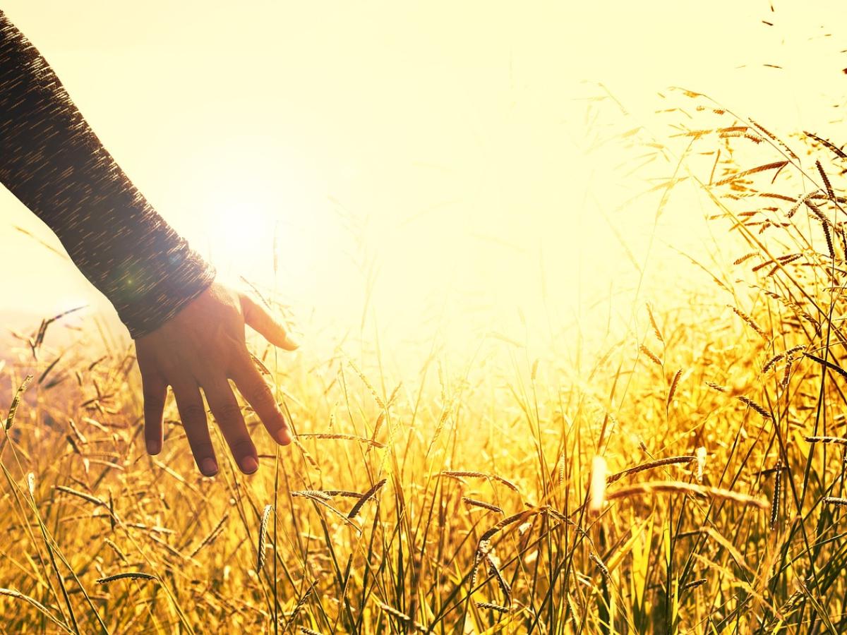 Promotores de la paz en los territorios de Colombia