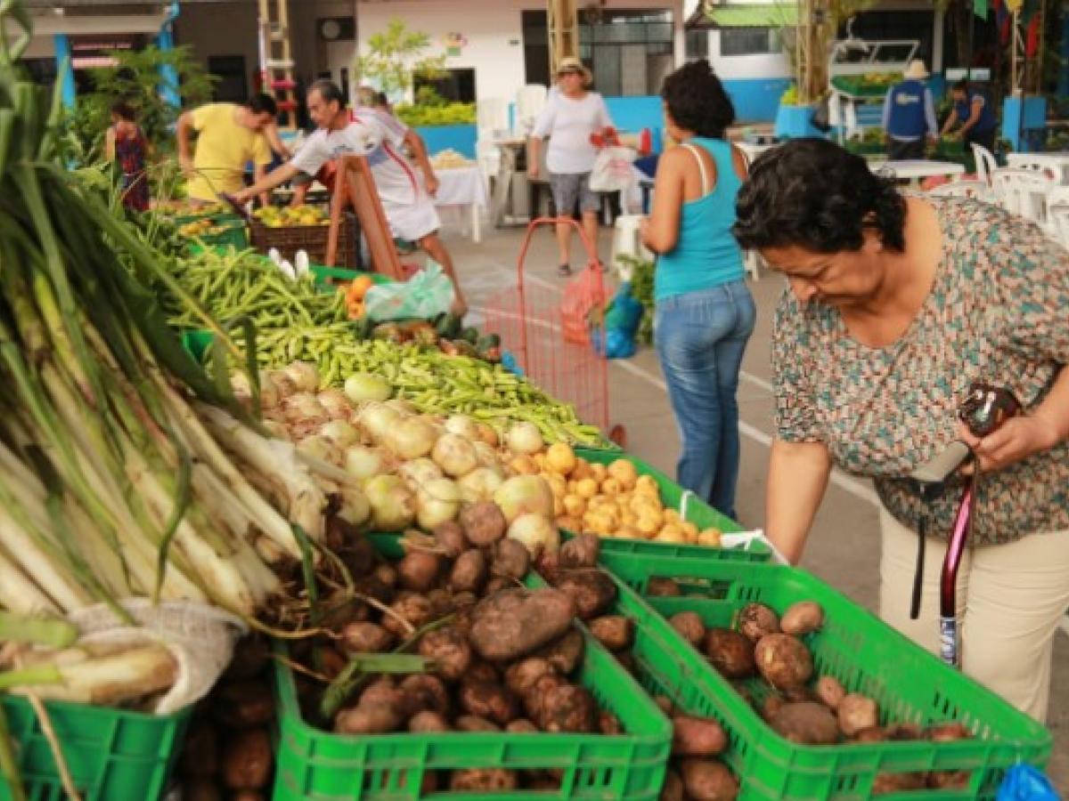 Llanero compra llanero: la oportunidad para que los campesinos del Meta vendan sus productos a entidades públicas