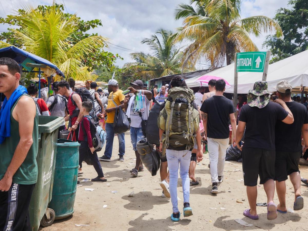 Enfermedades endémicas aumentaron en subregión Urabá-Darién