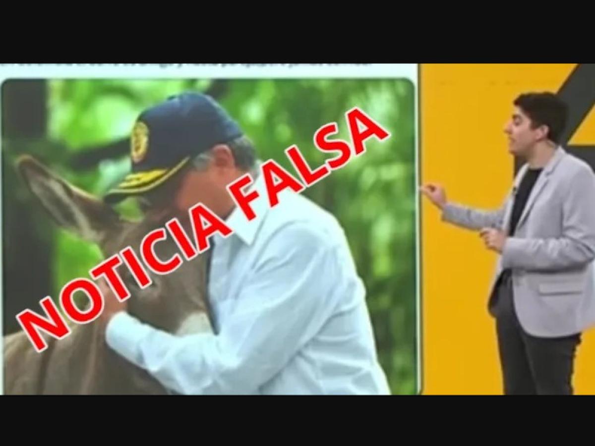 Medio a favor de Javier Milei atribuyó a Petro información falsa sobre “carne de burro” tomada de una cuenta fake