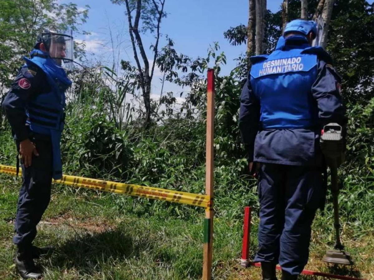 Víctimas de minas antipersona en Colombia: Comité Internacional de la Cruz Roja