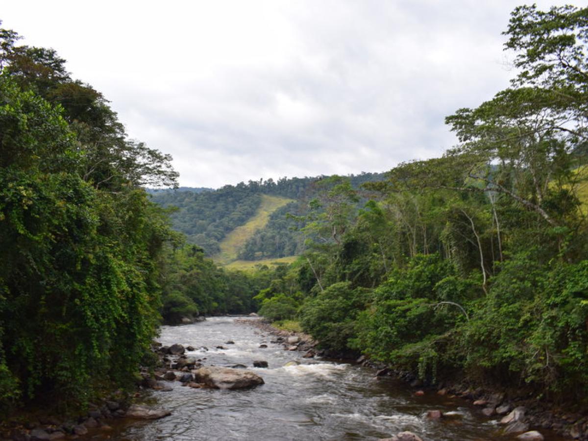 Miravalle: Firmantes de paz denuncian amenazas