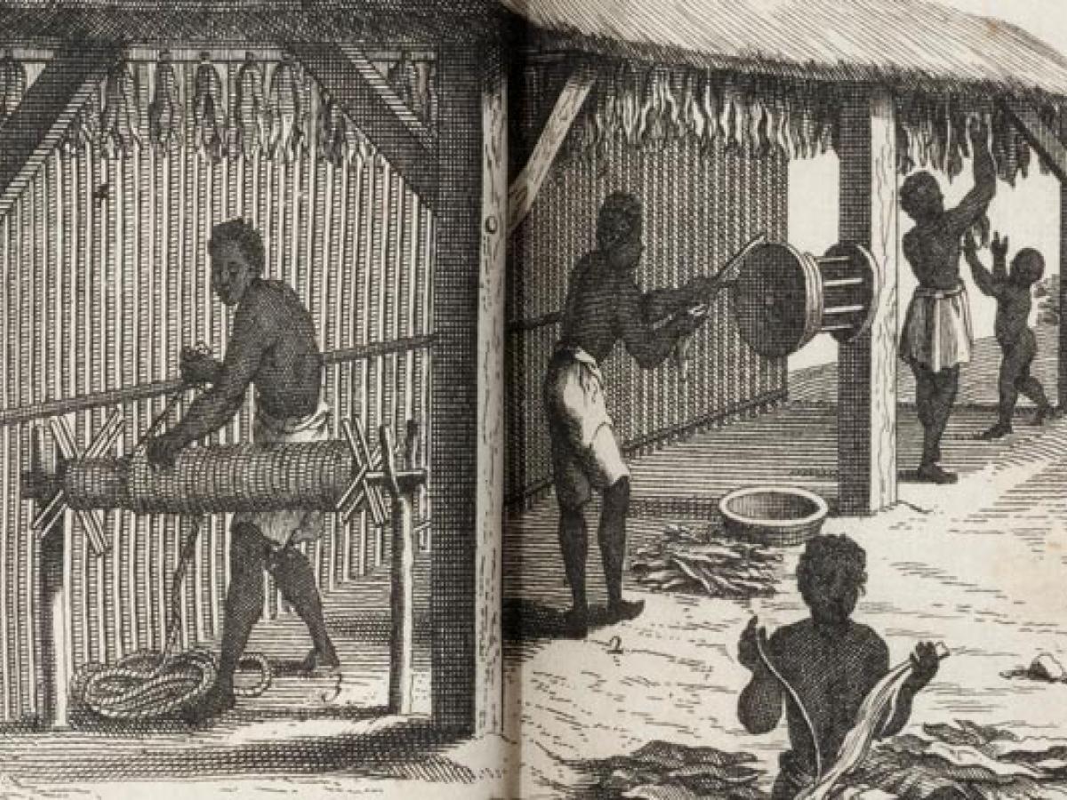 Esclavitud en Colombia: la abolición de una oprobiosa practica 