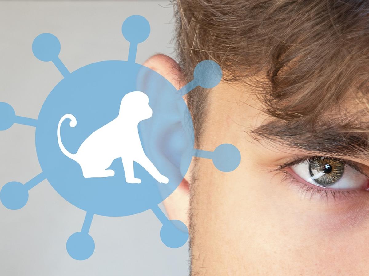 Barranquilla mantiene vigilancia para prevenir viruela sísmica