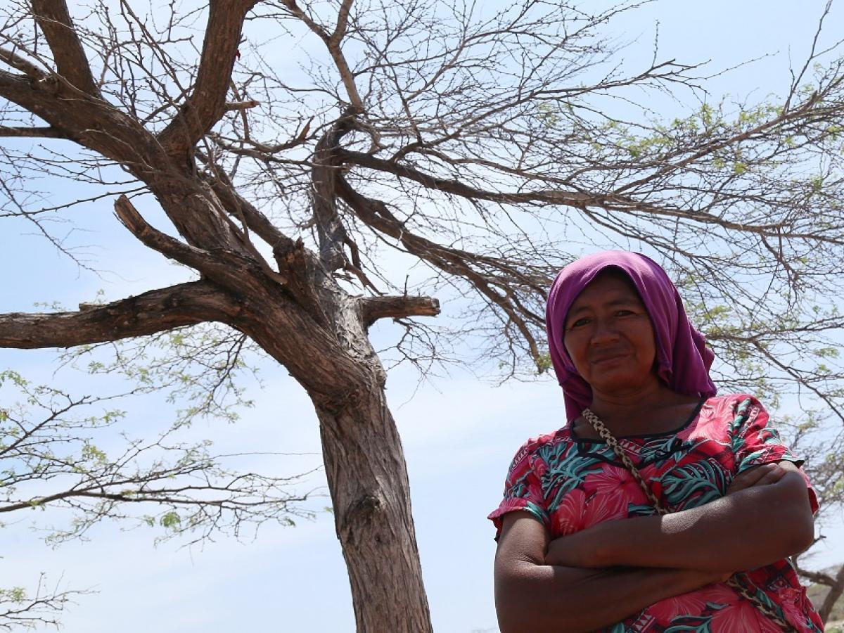 Nuestras voces: pueblo wayúu