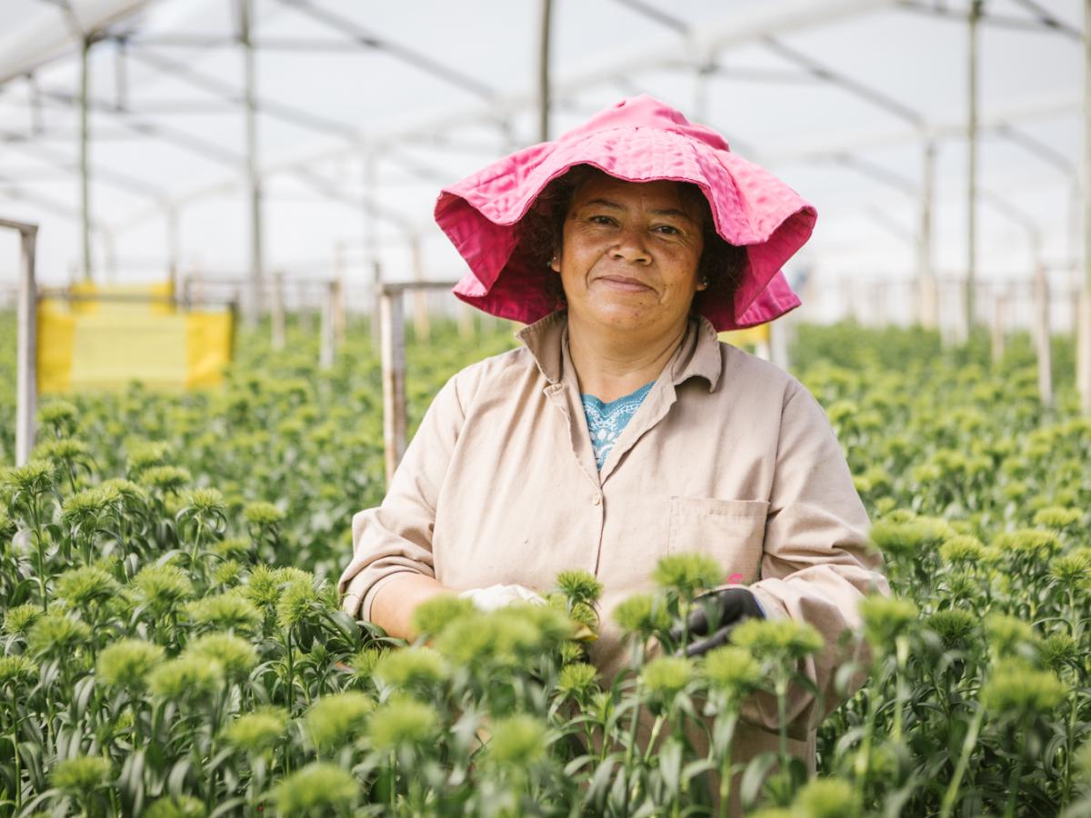 Senado aprueba ley para fortalecer derechos de mujeres rurales 