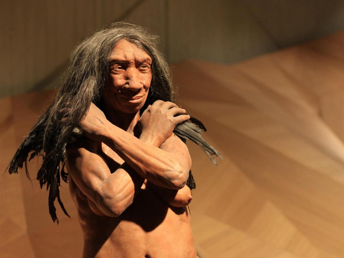  Neandertales y humanos coexistieron durante más de dos mil años