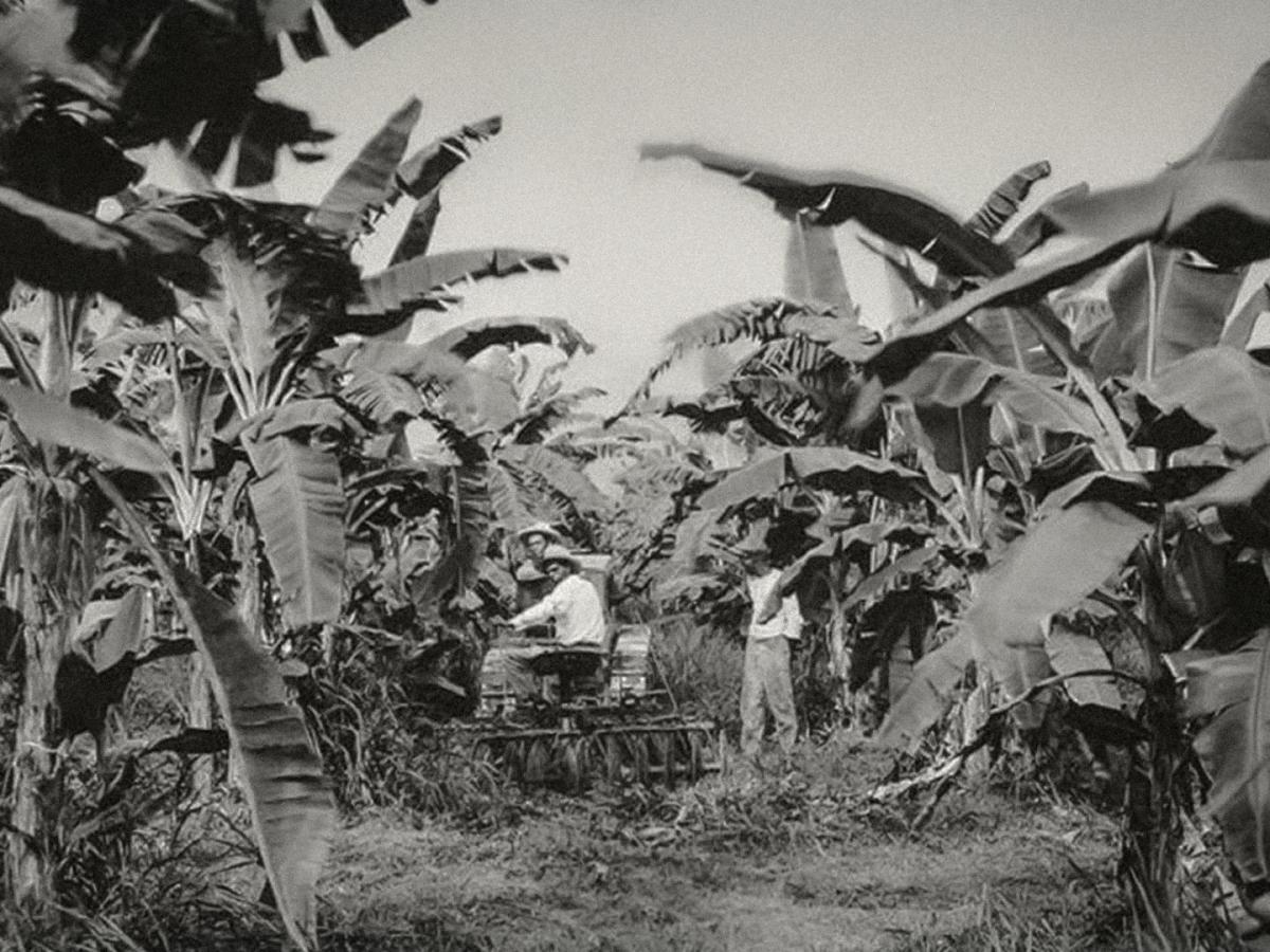 La Masacre de las Bananeras en Cien años de Soledad