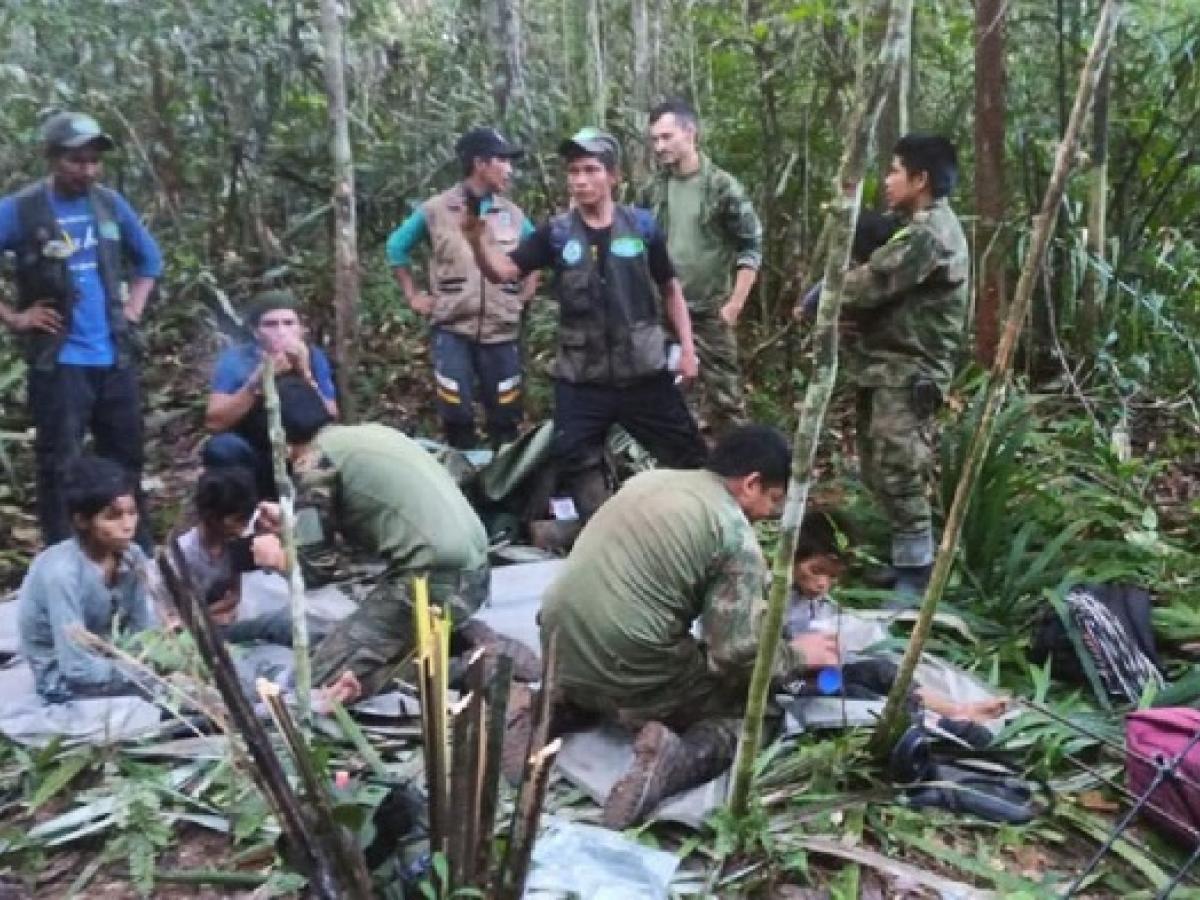 Gobierno crea fiducia para proteger a menores rescatados del Guaviare - Noticia de actualidad