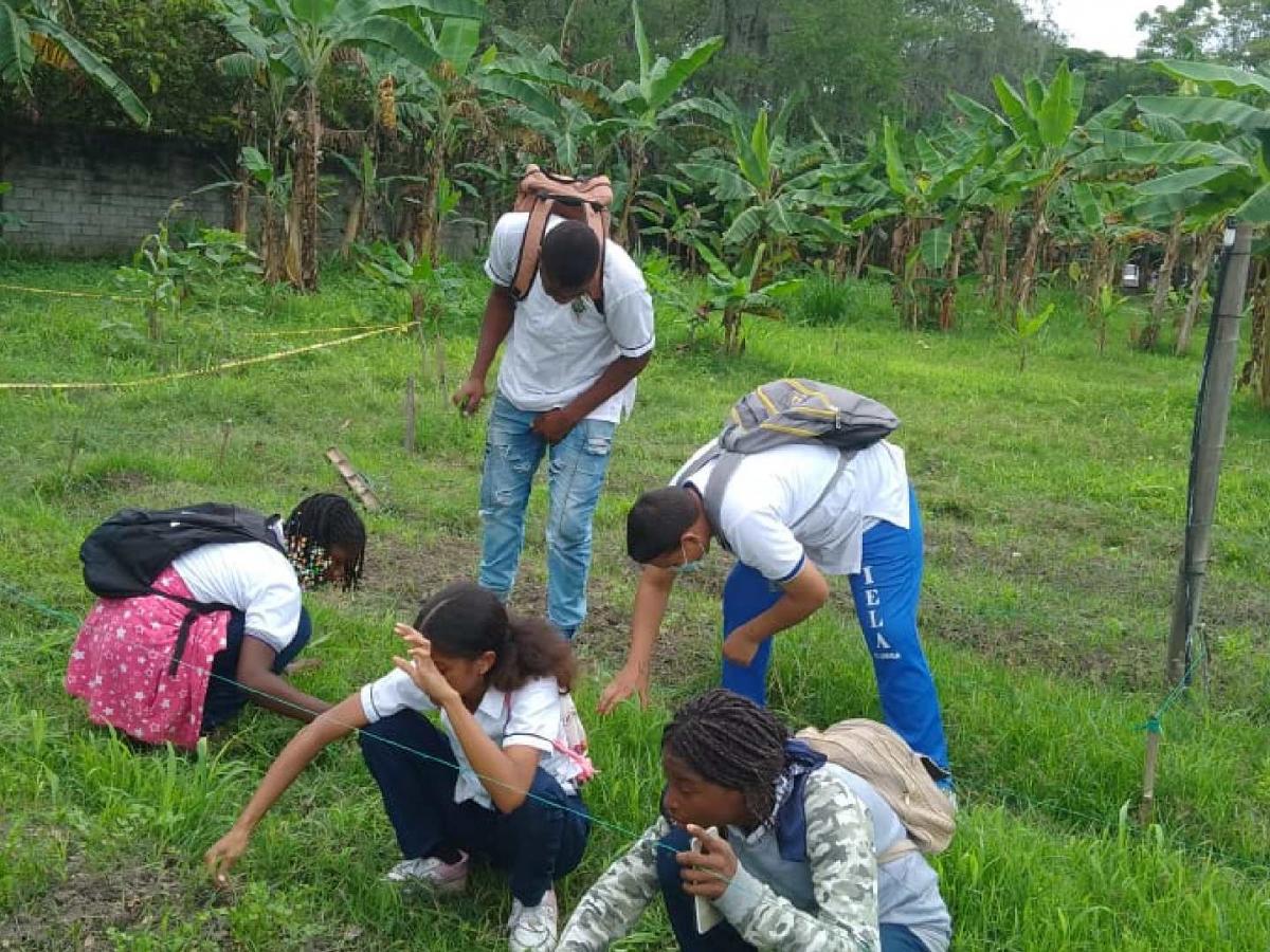 Colegio Norman Zuluaga, una oportunidad de vida y de transformación en el campo