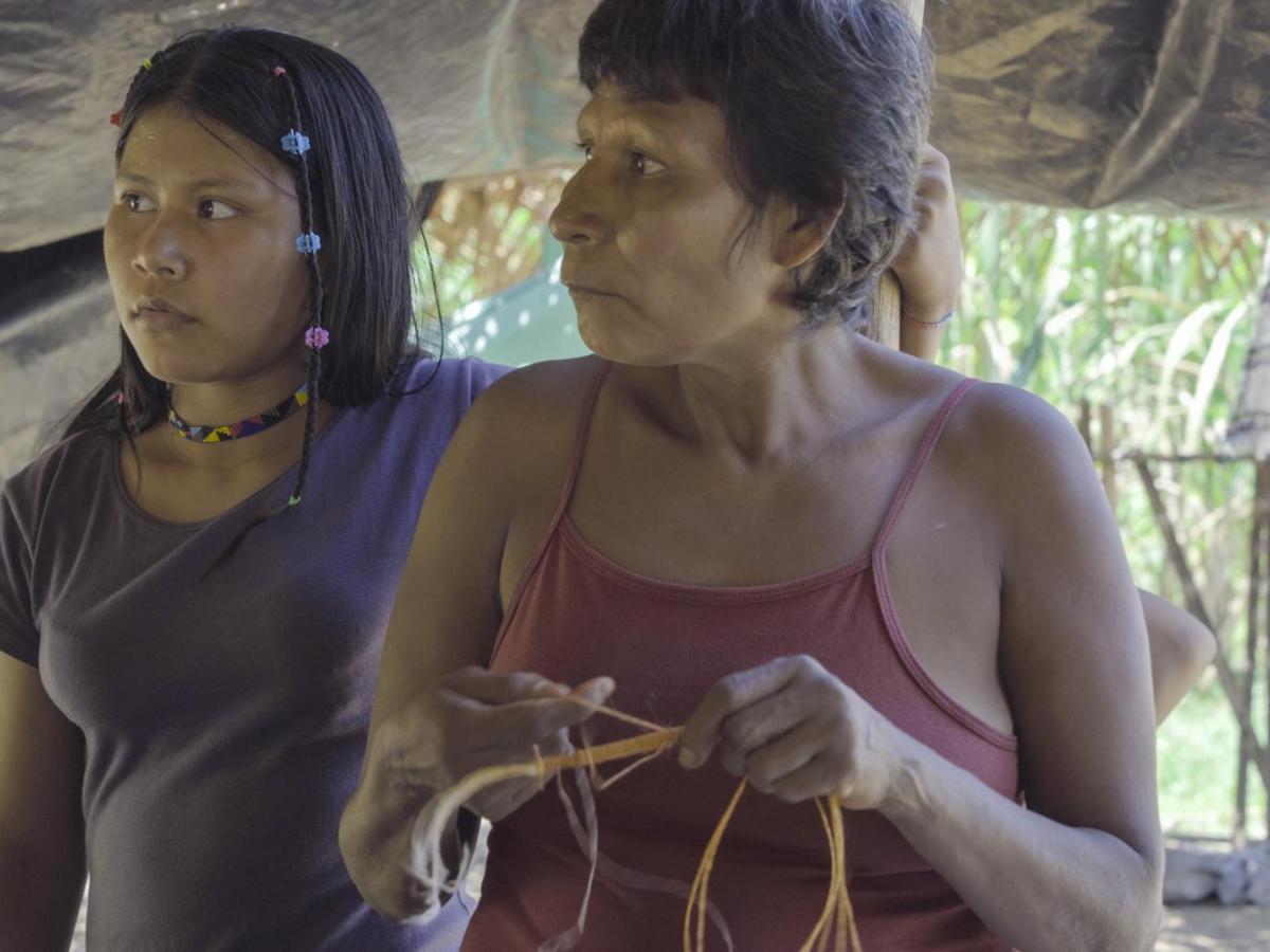 Los Nukak: Desafíos y llamado urgente por la defensa de sus derechos