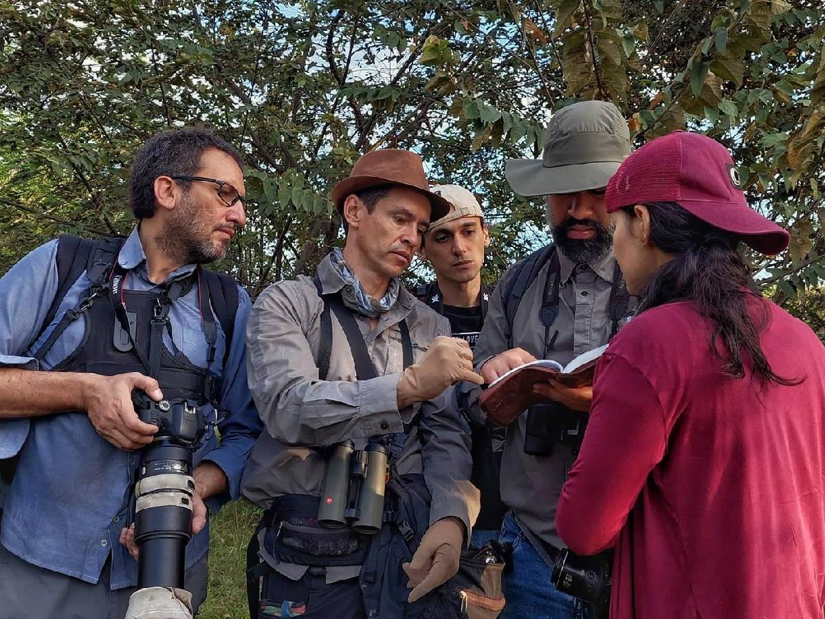 Festival de aves del Huila 2023: programación, especies y eventos