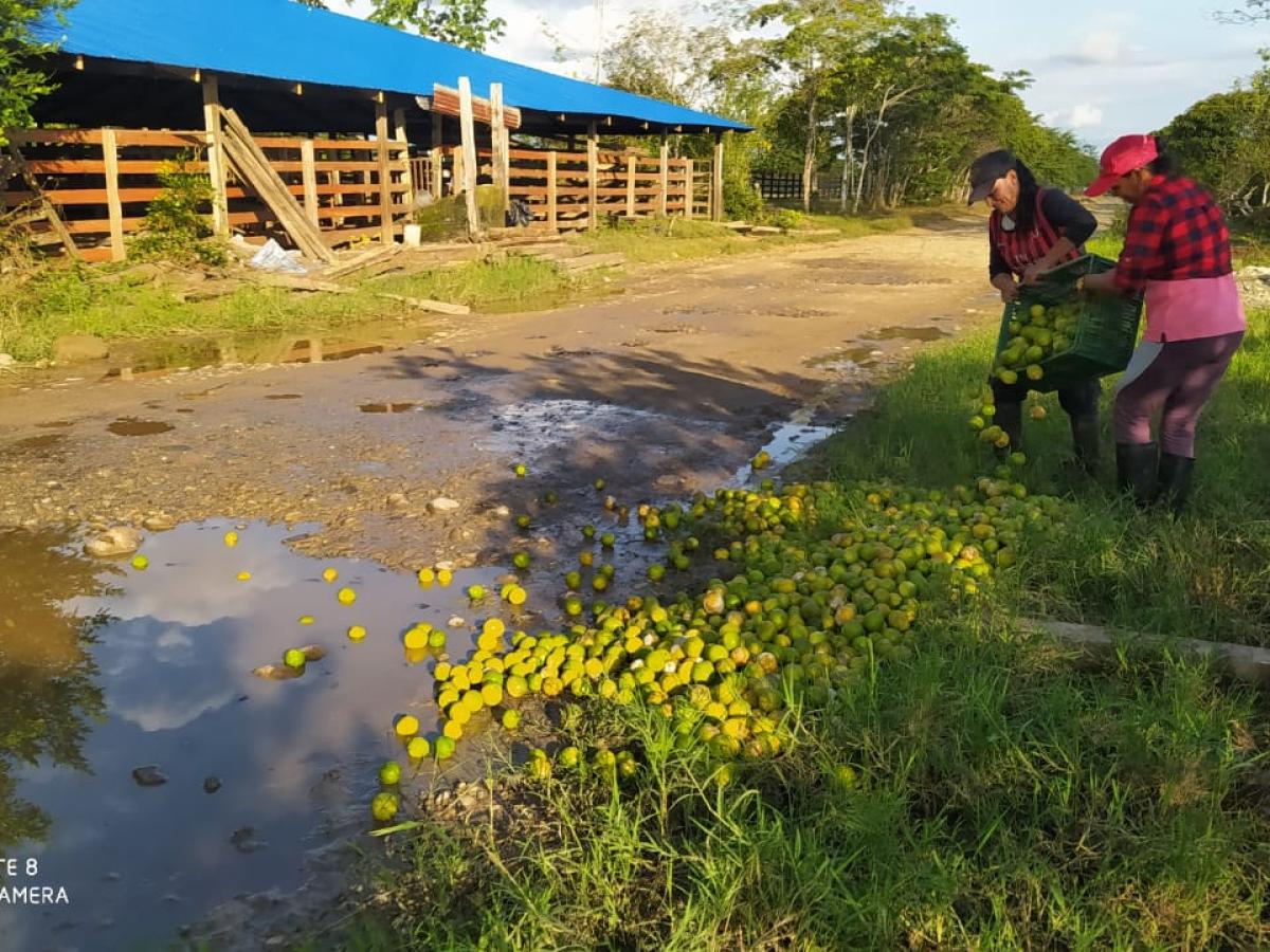 Crisis en Uribe Meta: agricultores de Limón Tahití piden apoyo gubernamental