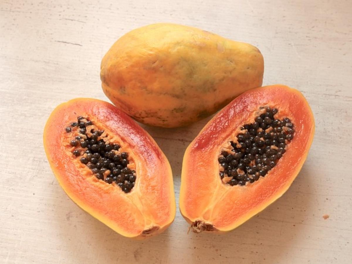 Papaya, el cultivo que cosecha esperanza en Nueva Pativaca