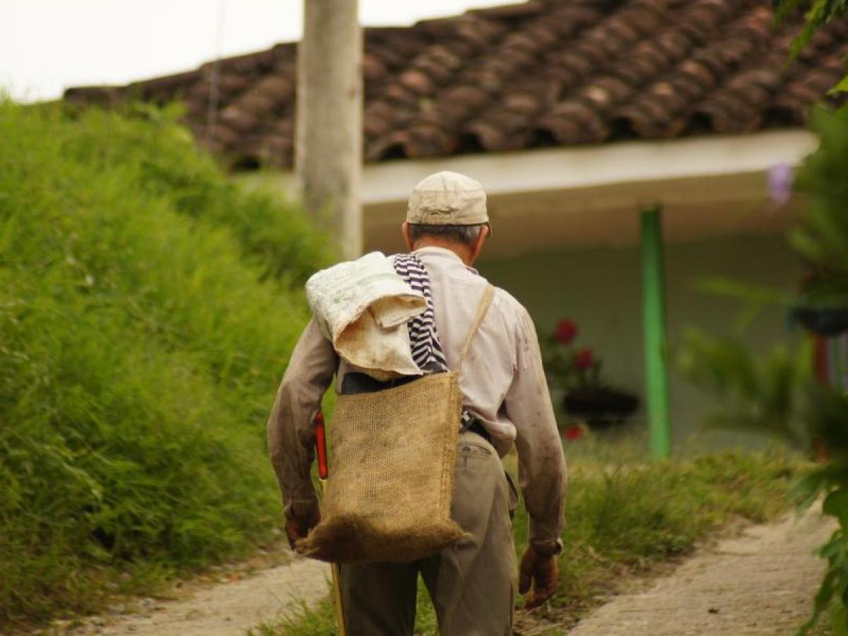Avances de la lucha campesina en Colombia