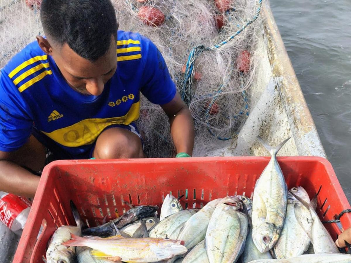 Pesca en altamar: riesgo en el Mar Caribe
