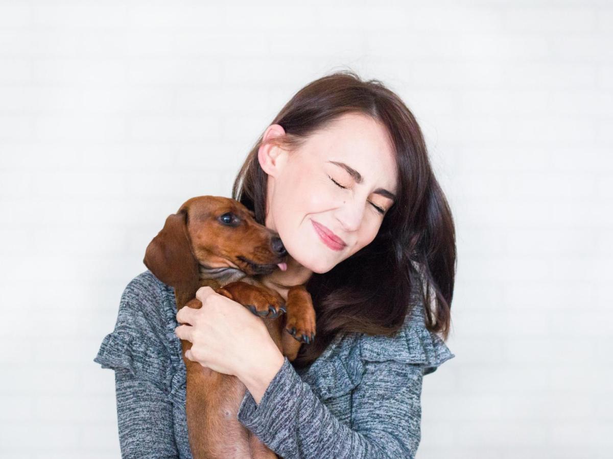 Solicitan incluir a los animales de compañía en lista de bienes inembargables