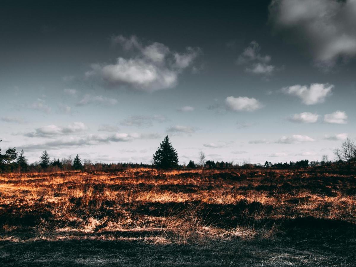 Sudamérica arde con los incendios forestales y el cambio climático