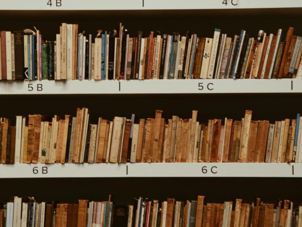 Conoce más sobre la convocatoria Reading Colombia: Bienal del Libro de Sao Paulo