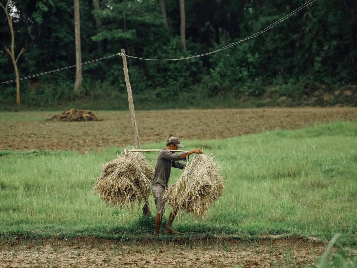 Campesinos en Colombia: Mira este top cinco de libros