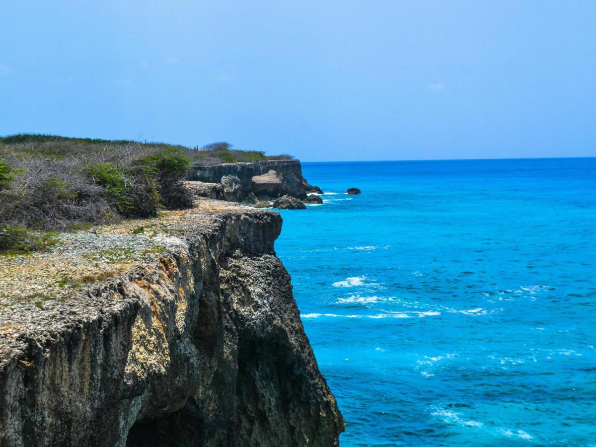 Un museo submarino protege a los corales en el Caribe colombiano