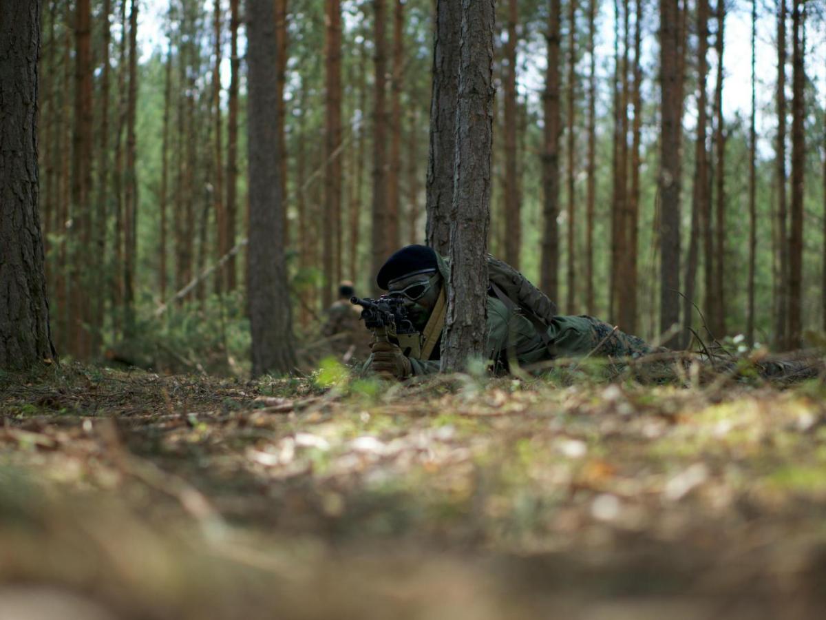 Naturaleza: Una víctima visible en las guerras