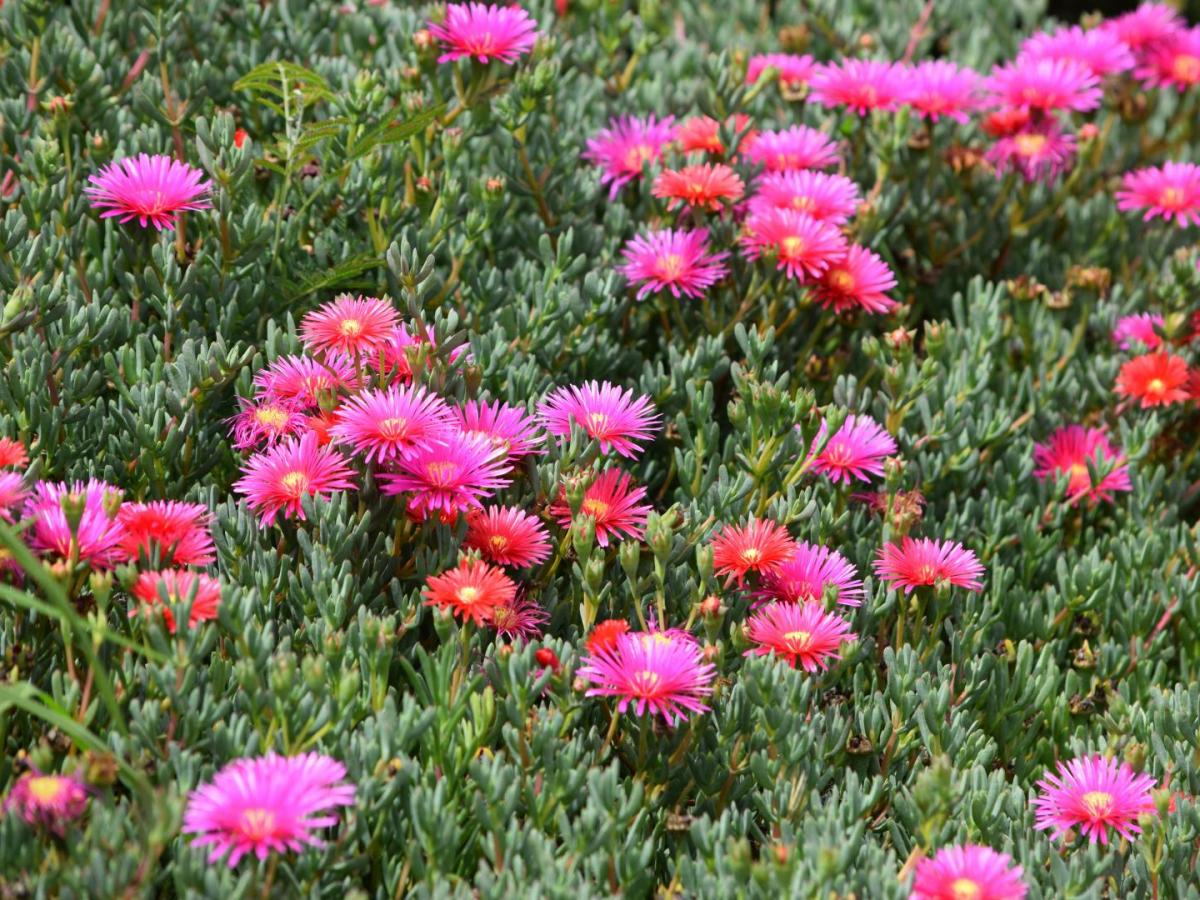 Exportaciones agro Colombia: récord en junio 2025 | Datos 